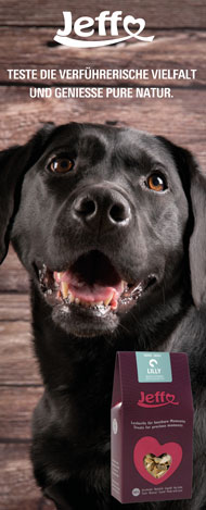 Hundekekse Test - ob Sie Hundekekse selber backen oder hochwertige Hundekekse kaufen - hier finden Sie alles, was Ihr Hund mag